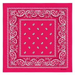 Paisley Bandanas