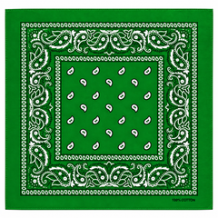 Paisley Bandanas